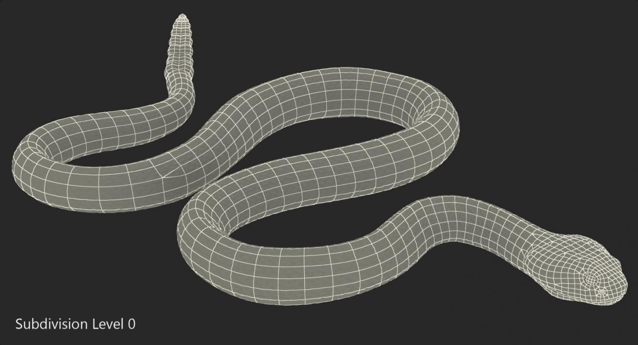 3D model Dark Rattlesnake Crawling Pose