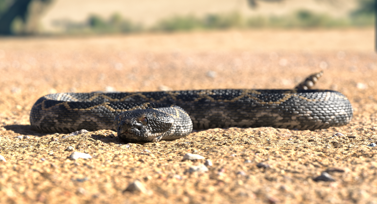 3D model Dark Rattlesnake Crawling Pose