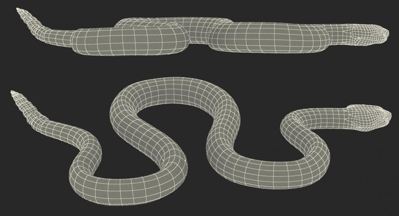 3D model Dark Rattlesnake Crawling Pose