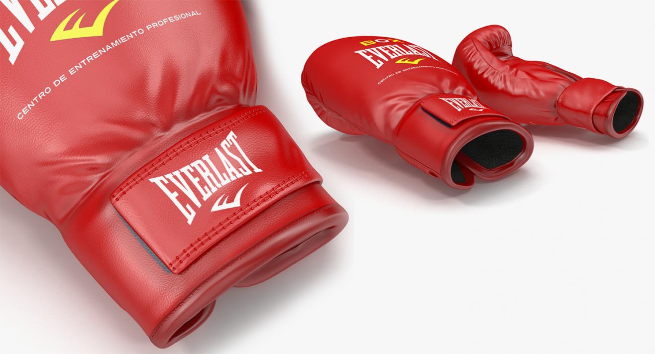 Boxing 3D Models Collection 3D