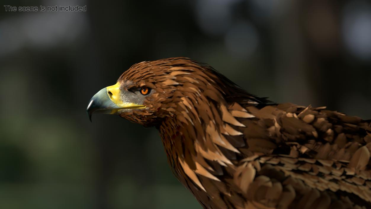 Realistic Golden Eagle Rigged 3D model