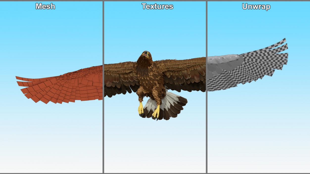 Realistic Golden Eagle Rigged 3D model