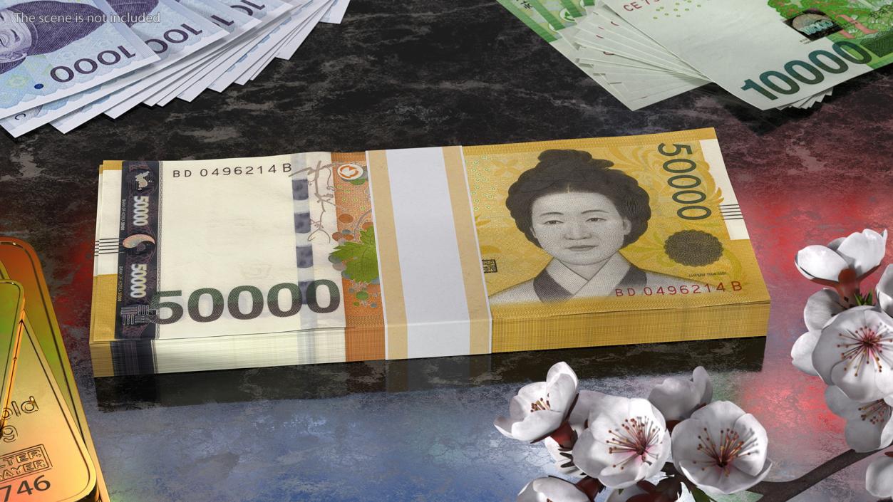 3D model South Korean Banknote Bundles Collection