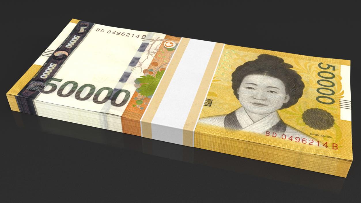 3D model South Korean Banknote Bundles Collection