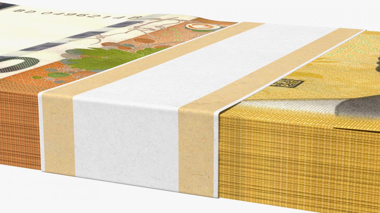 3D model South Korean Banknote Bundles Collection