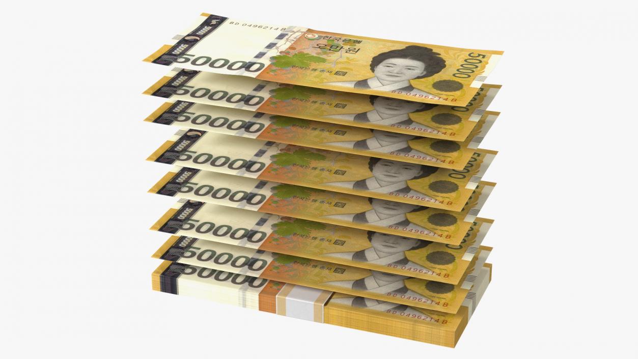 3D model South Korean Banknote Bundles Collection