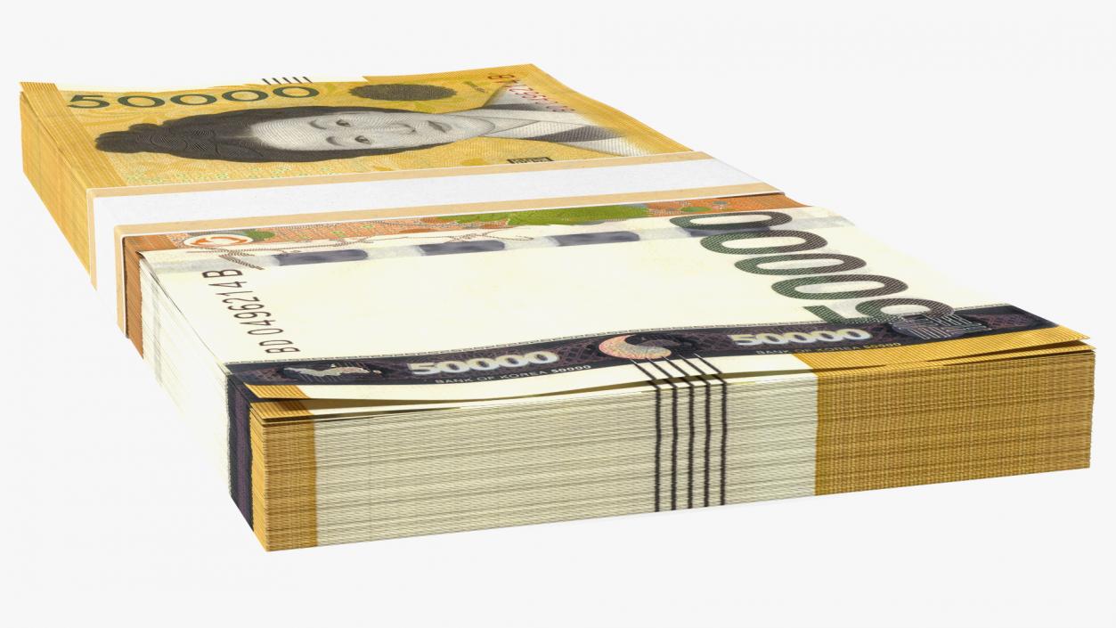 3D model South Korean Banknote Bundles Collection