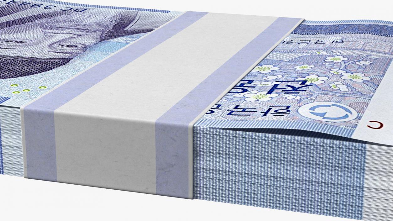 3D model South Korean Banknote Bundles Collection