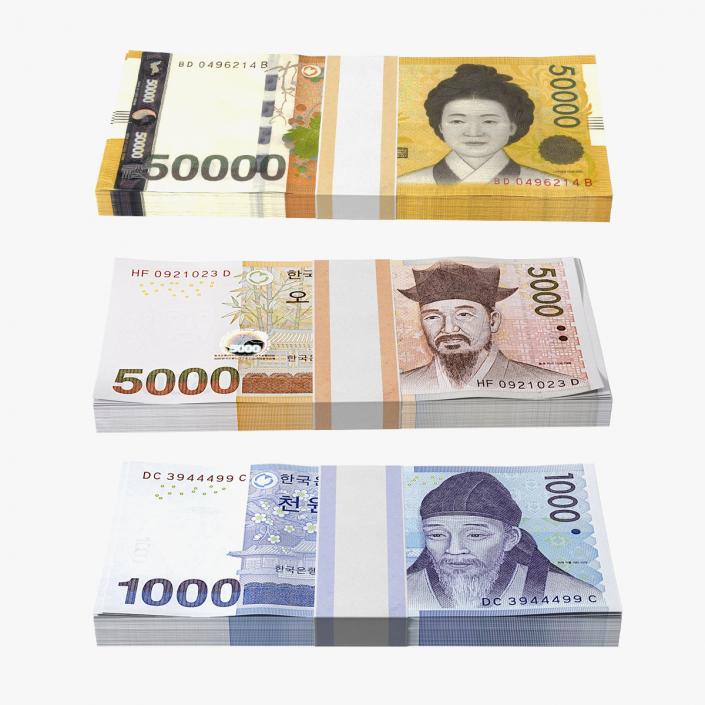 3D model South Korean Banknote Bundles Collection