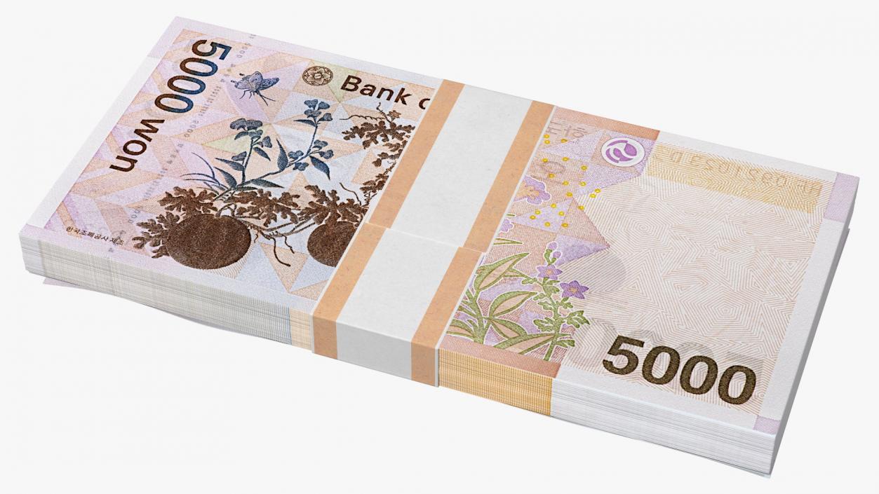 3D model South Korean Banknote Bundles Collection