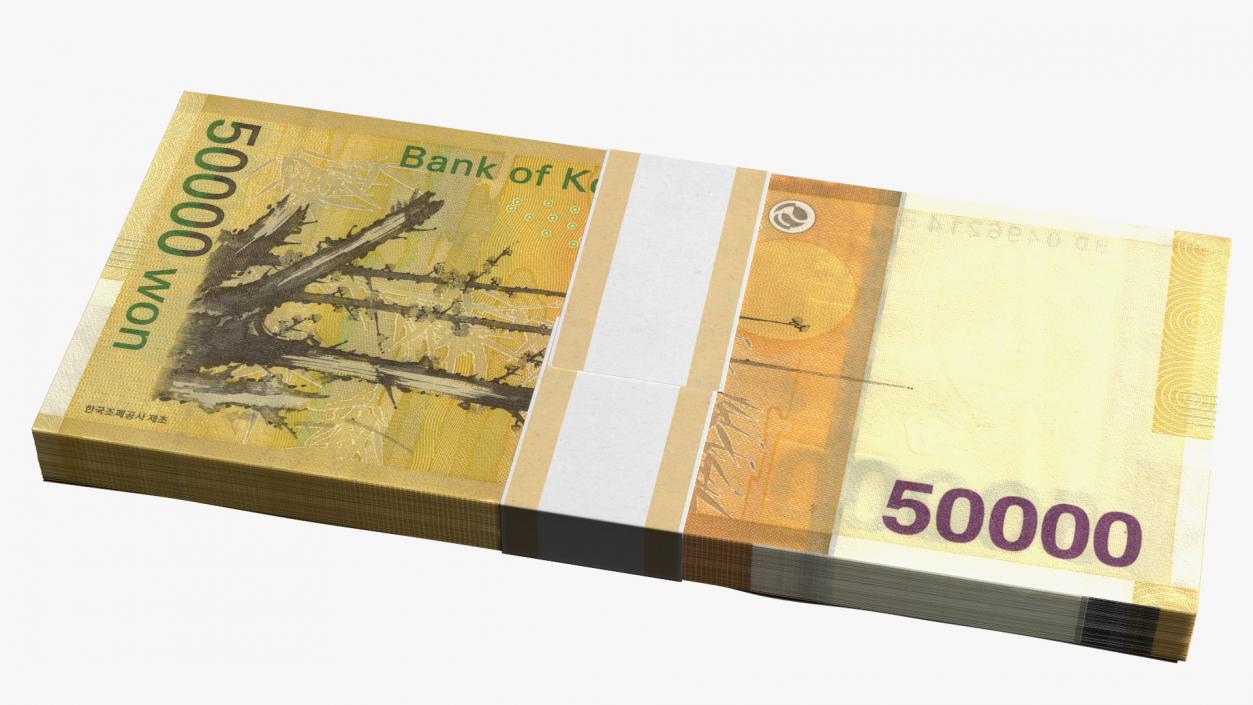 3D model South Korean Banknote Bundles Collection