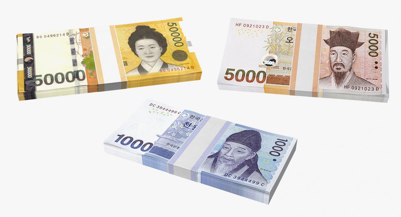 3D model South Korean Banknote Bundles Collection