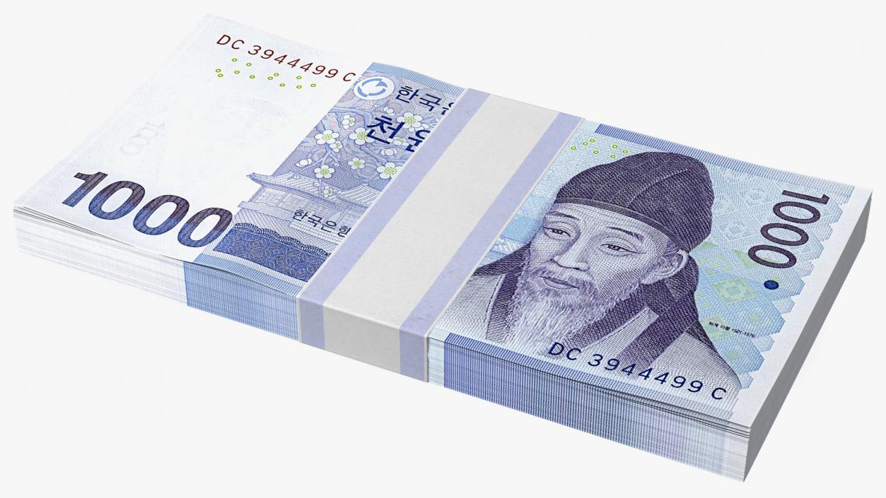 3D model South Korean Banknote Bundles Collection