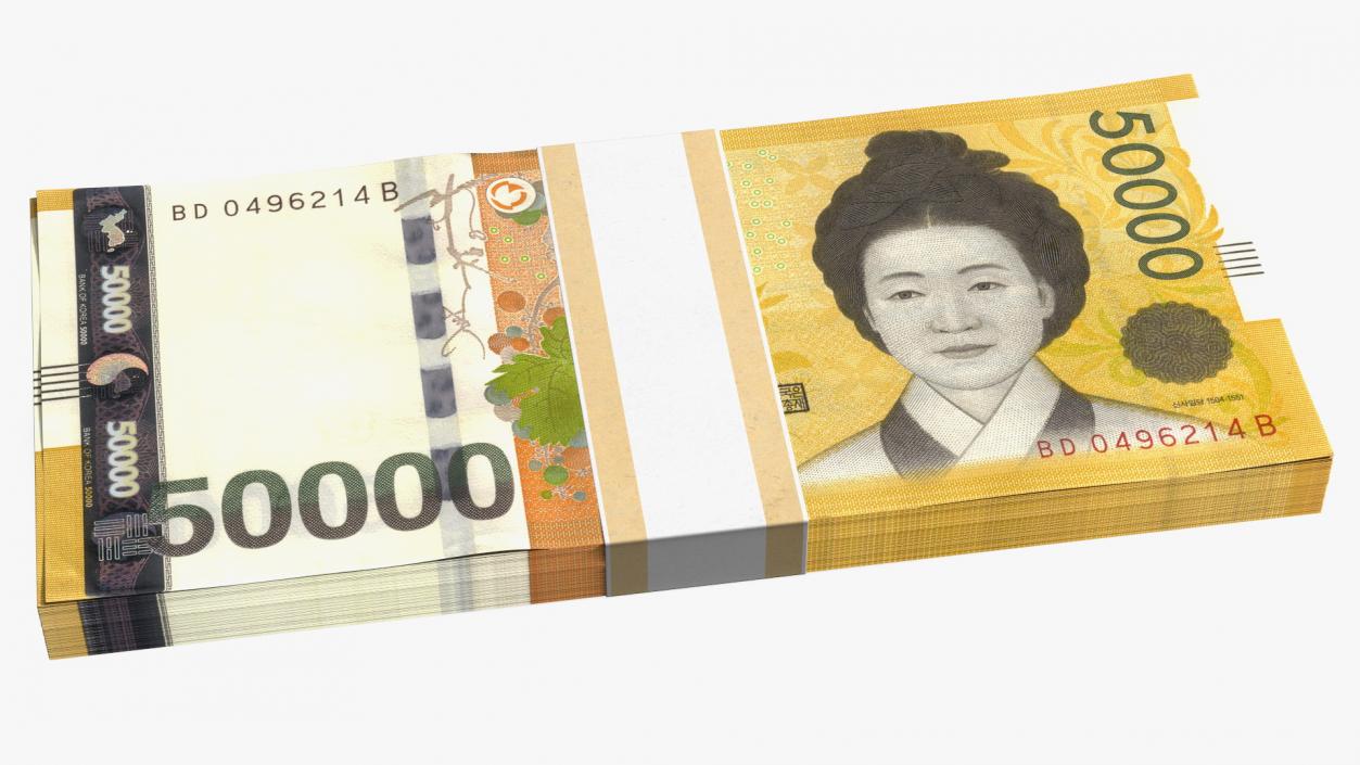 3D model South Korean Banknote Bundles Collection