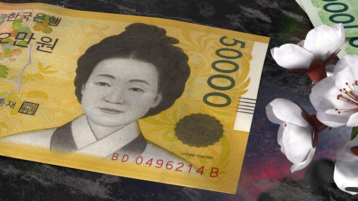 3D model South Korean Banknote Bundles Collection