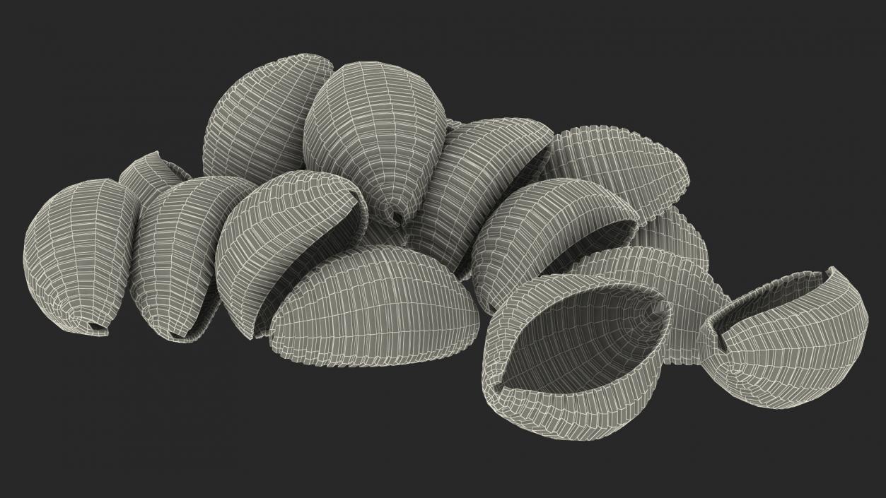 Shells Pasta 3D