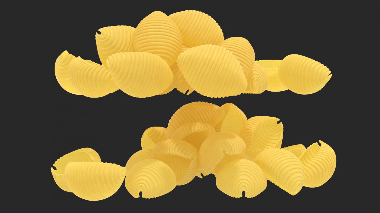 Shells Pasta 3D