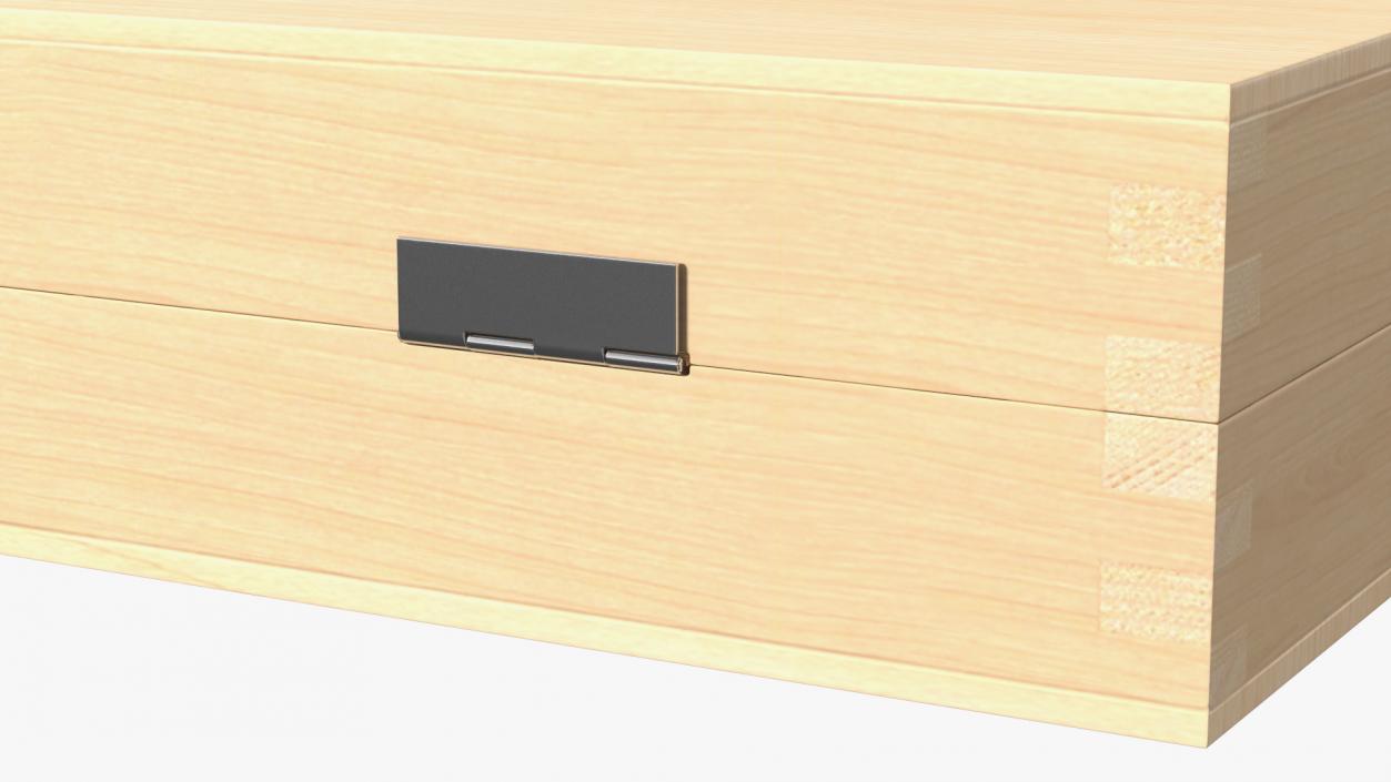 Empty Wooden Case 3D