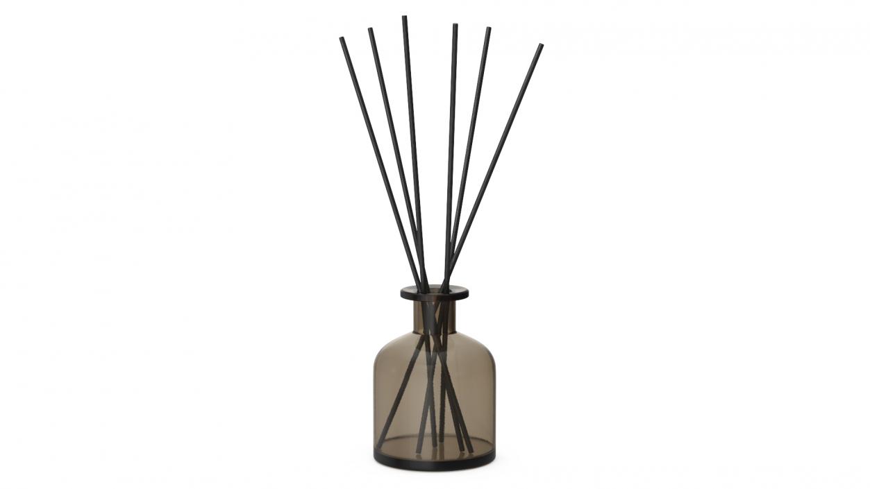 3D Aroma Reed Diffuser Bottle with Sticks model