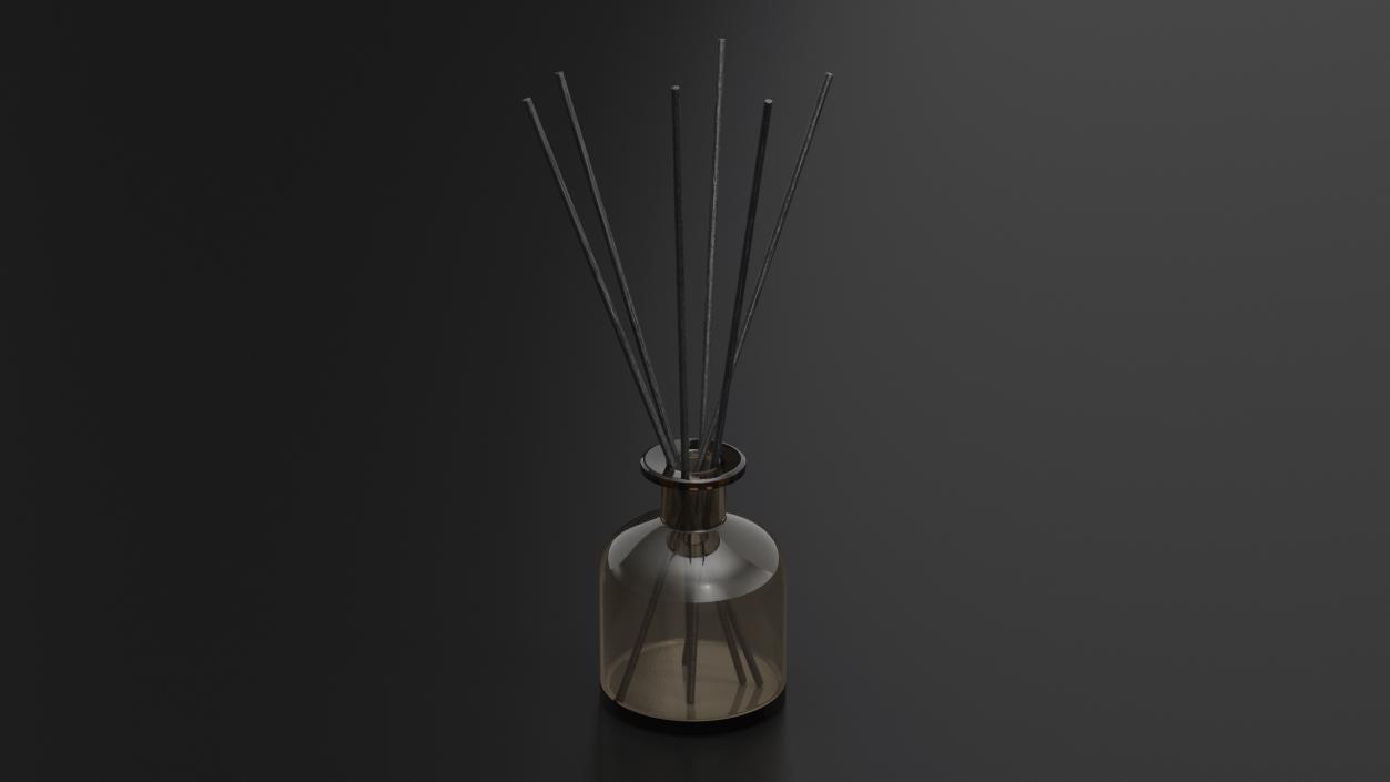 3D Aroma Reed Diffuser Bottle with Sticks model