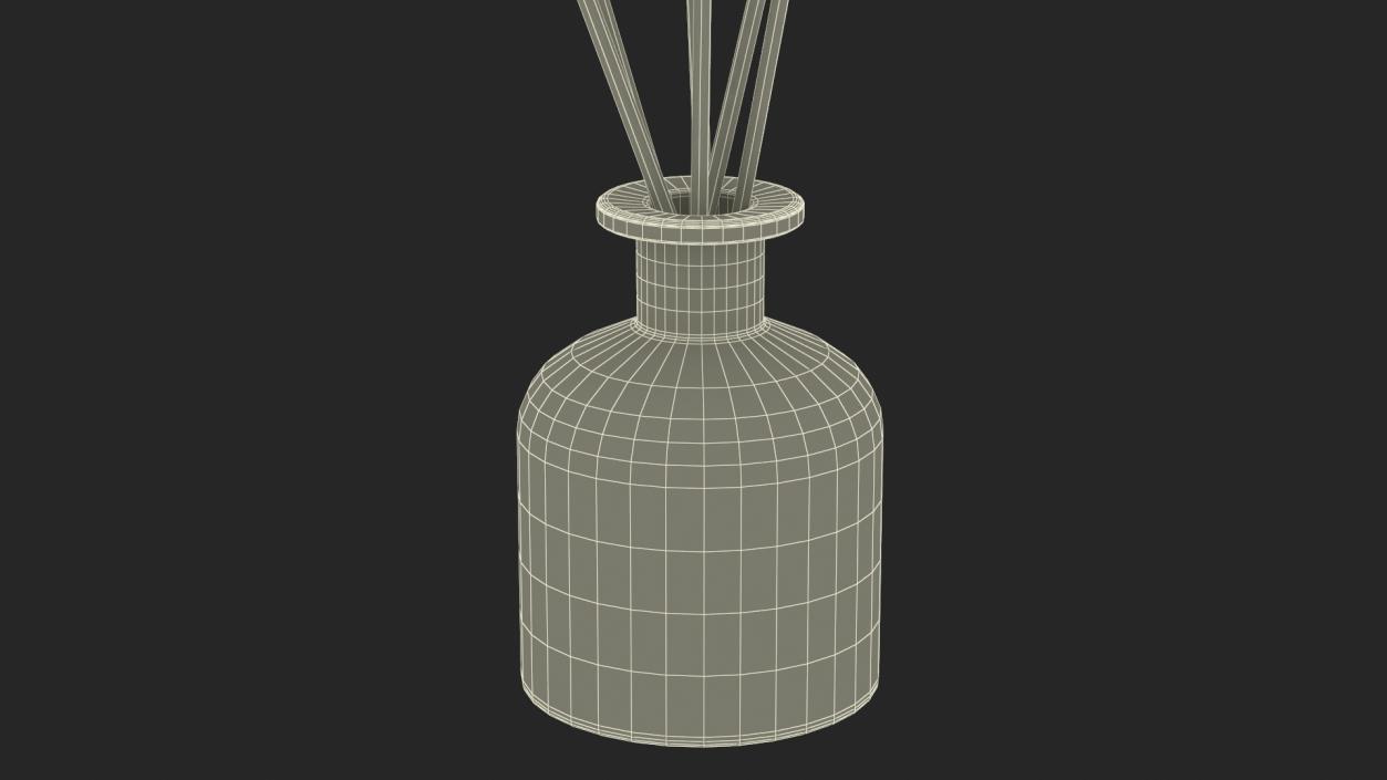 3D Aroma Reed Diffuser Bottle with Sticks model