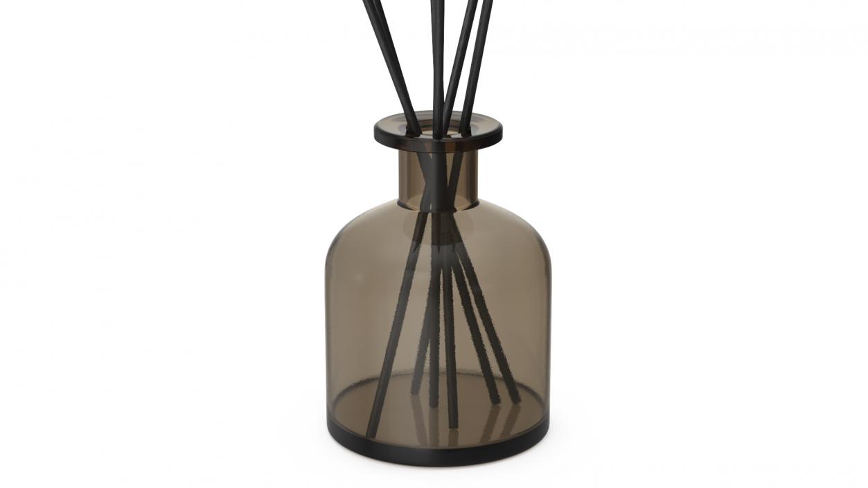 3D Aroma Reed Diffuser Bottle with Sticks model