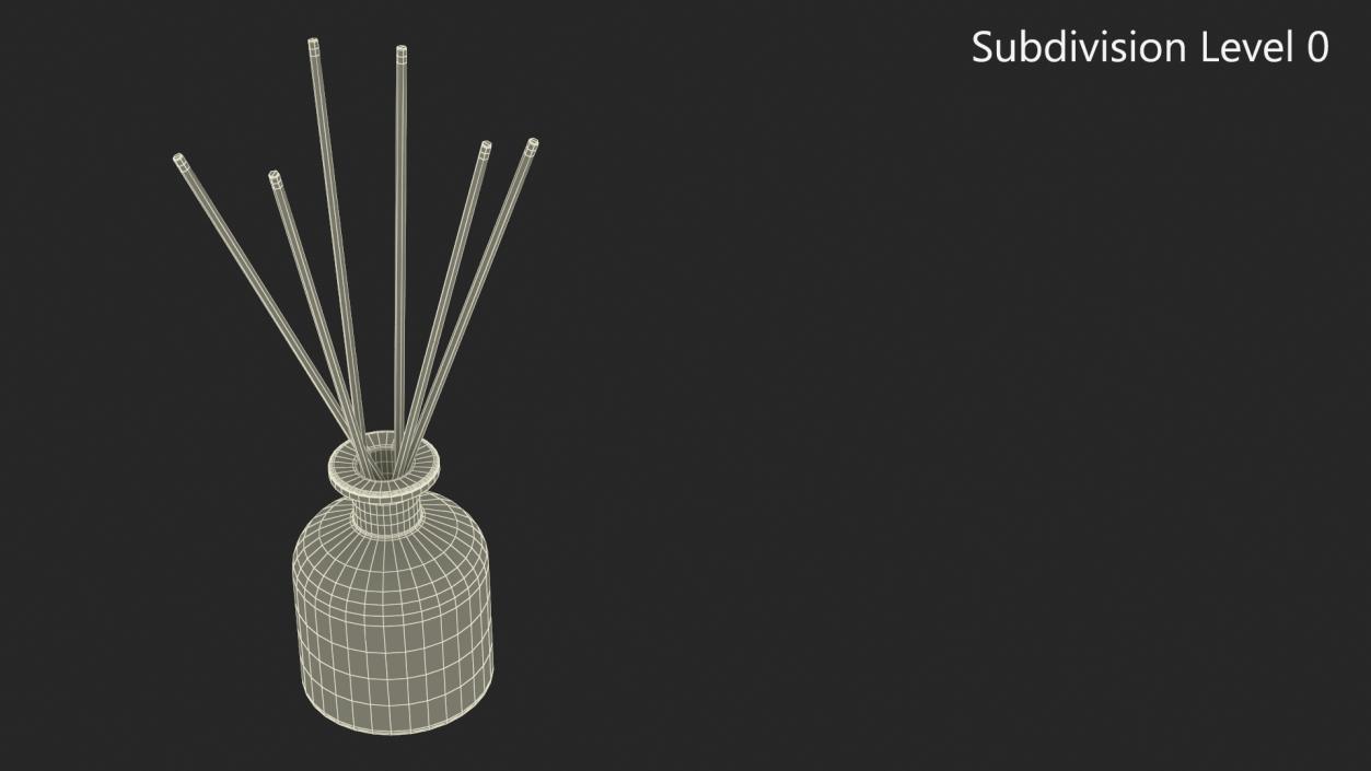 3D Aroma Reed Diffuser Bottle with Sticks model