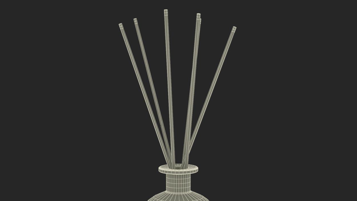 3D Aroma Reed Diffuser Bottle with Sticks model