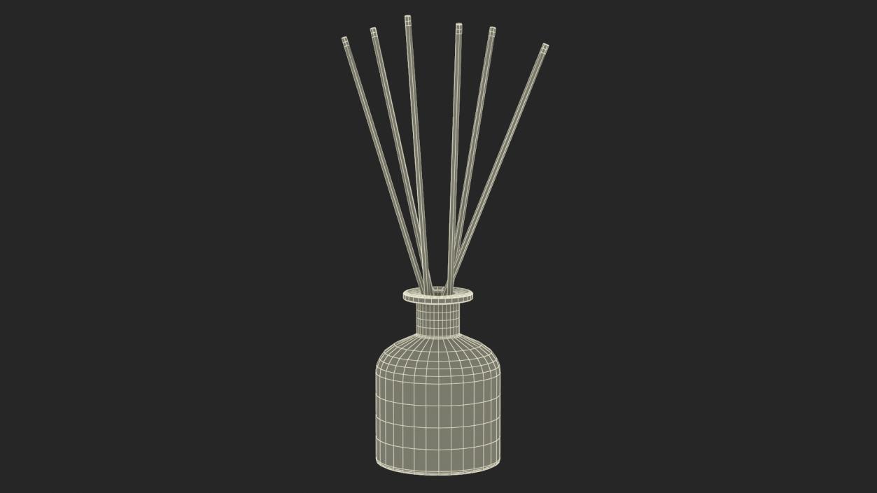 3D Aroma Reed Diffuser Bottle with Sticks model