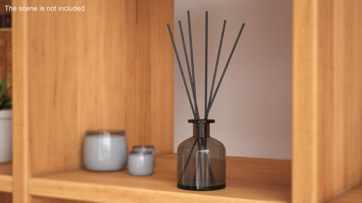 3D Aroma Reed Diffuser Bottle with Sticks model