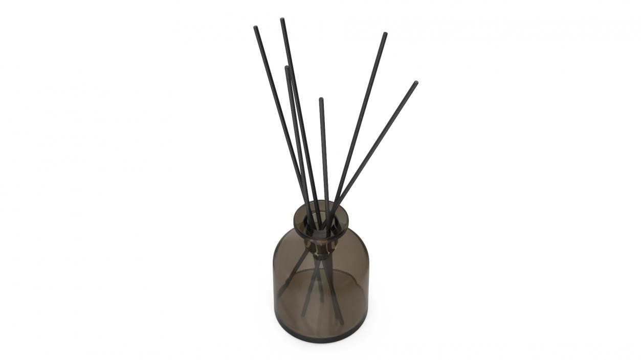 3D Aroma Reed Diffuser Bottle with Sticks model