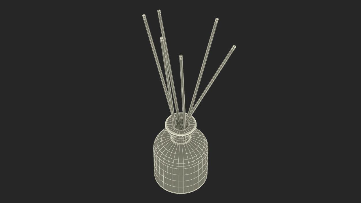 3D Aroma Reed Diffuser Bottle with Sticks model