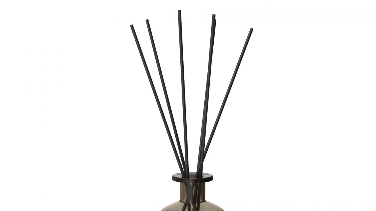 3D Aroma Reed Diffuser Bottle with Sticks model