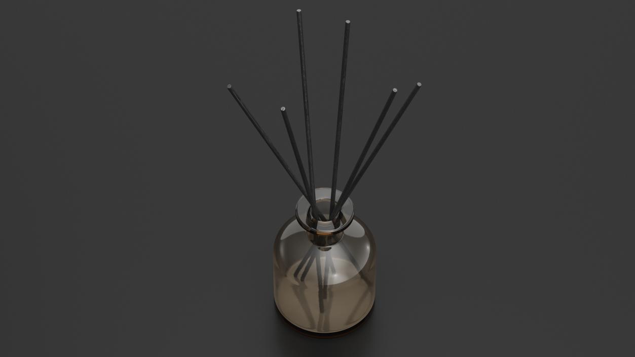 3D Aroma Reed Diffuser Bottle with Sticks model