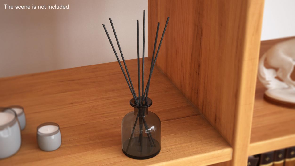 3D Aroma Reed Diffuser Bottle with Sticks model