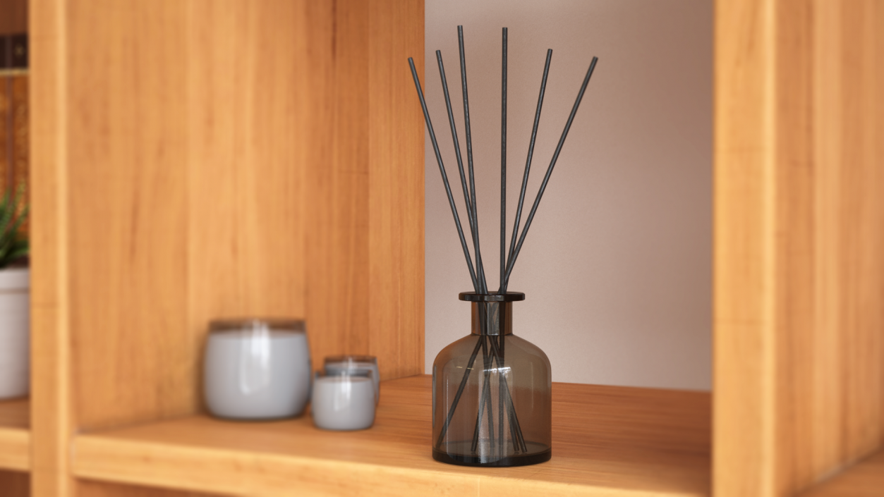 3D Aroma Reed Diffuser Bottle with Sticks model