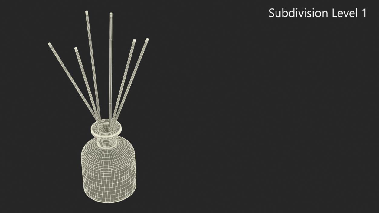 3D Aroma Reed Diffuser Bottle with Sticks model