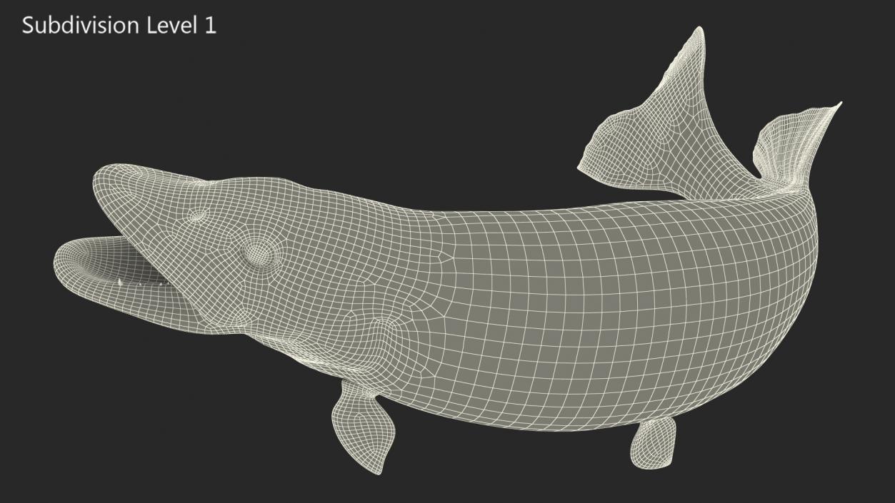 3D Pike Fish Jump Out Pose model