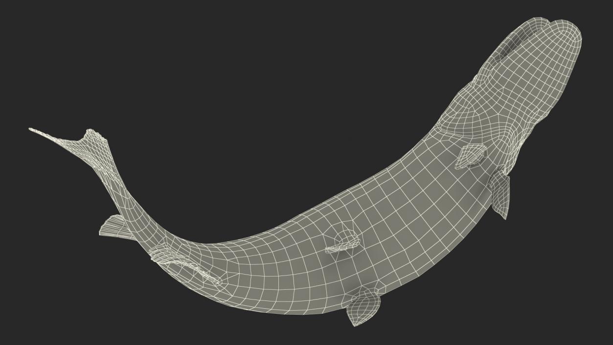 3D Pike Fish Jump Out Pose model