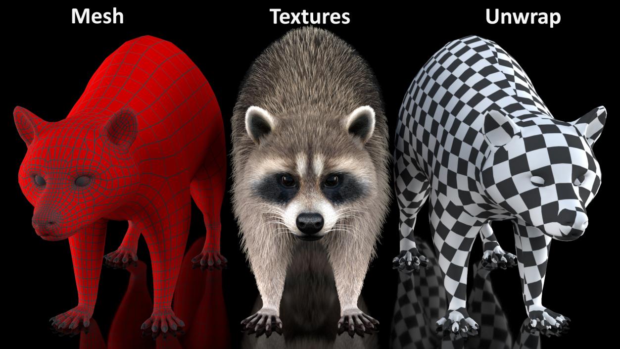 3D Raccoon Fur