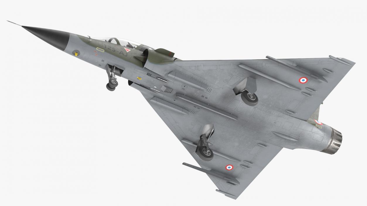 3D Dassault Mirage 2000 Two Seat Fighter Camouflage model