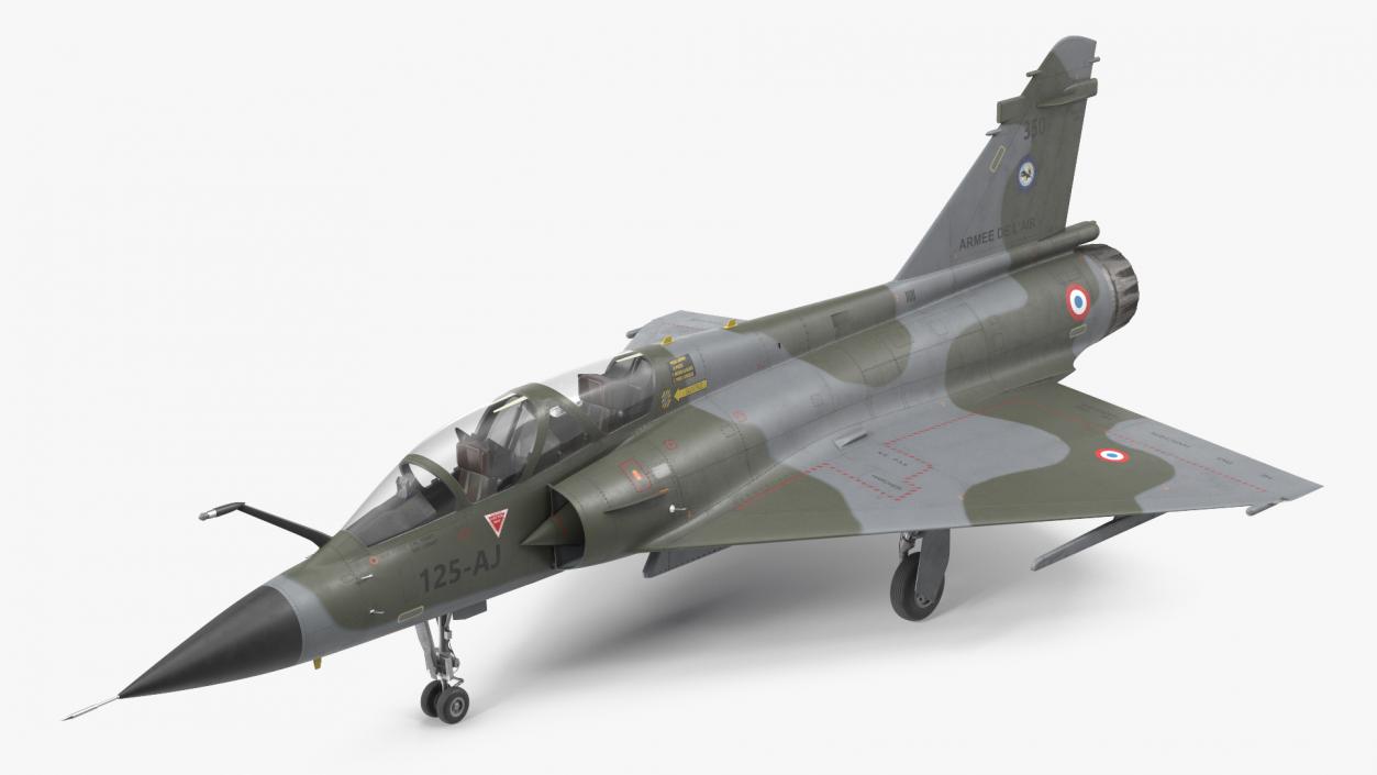 3D Dassault Mirage 2000 Two Seat Fighter Camouflage model