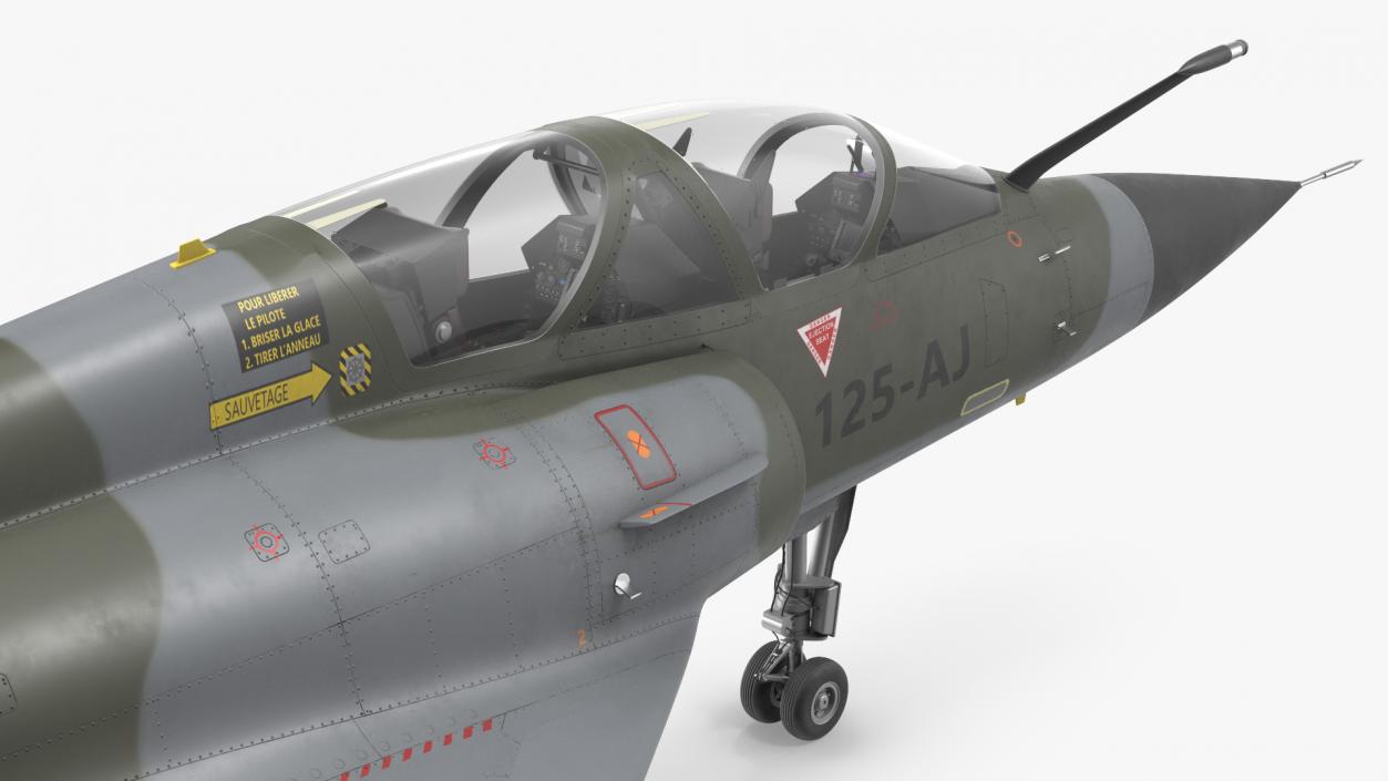 3D Dassault Mirage 2000 Two Seat Fighter Camouflage model