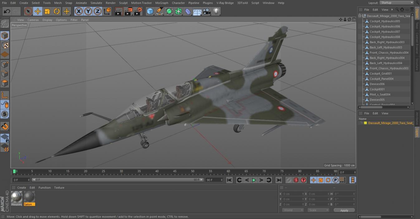 3D Dassault Mirage 2000 Two Seat Fighter Camouflage model