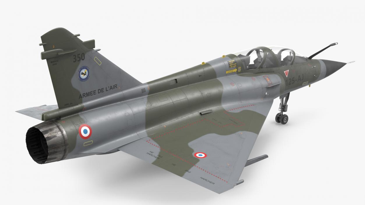 3D Dassault Mirage 2000 Two Seat Fighter Camouflage model