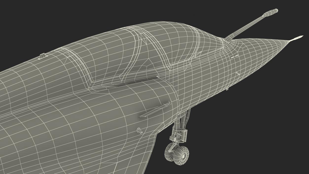 3D Dassault Mirage 2000 Two Seat Fighter Camouflage model