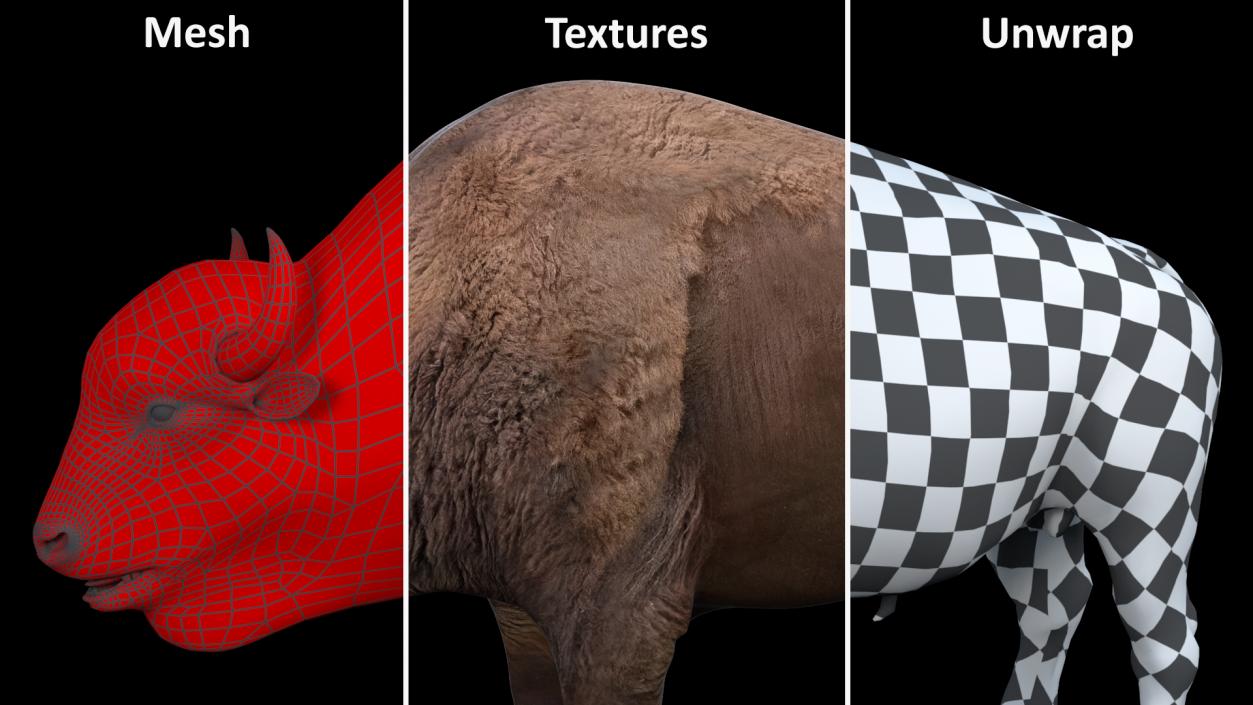 3D American Bison Rigged