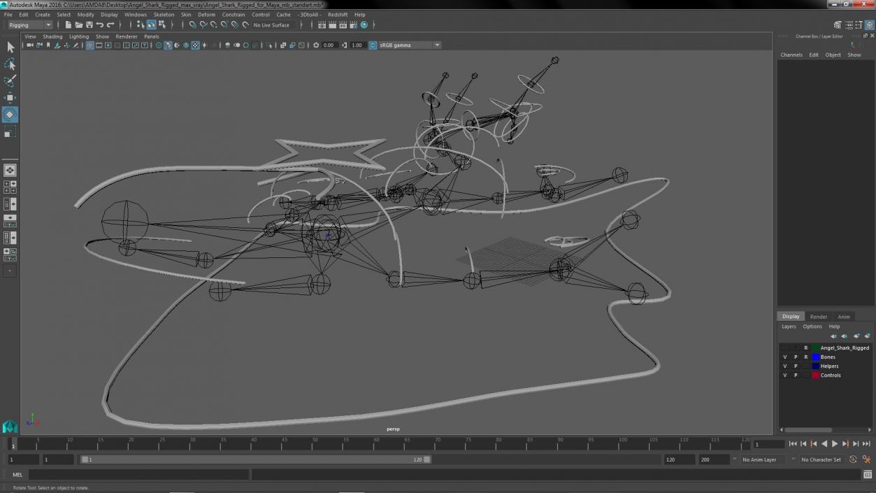 Angel Shark Rigged for Maya 3D