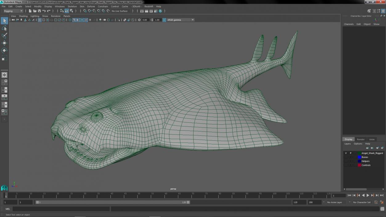 Angel Shark Rigged for Maya 3D