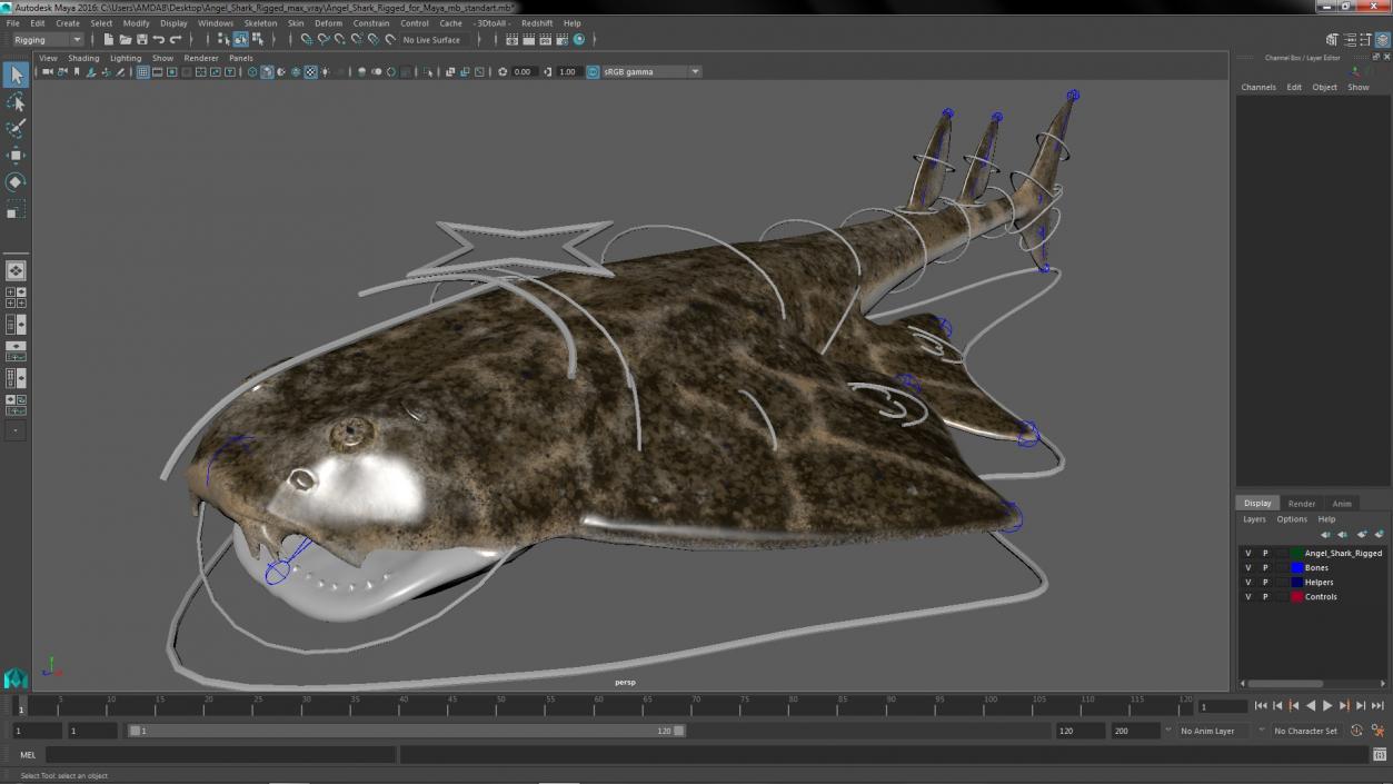 Angel Shark Rigged for Maya 3D